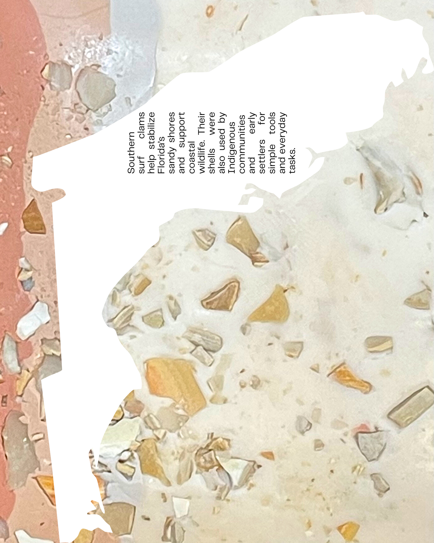 southern surf clam infused clay