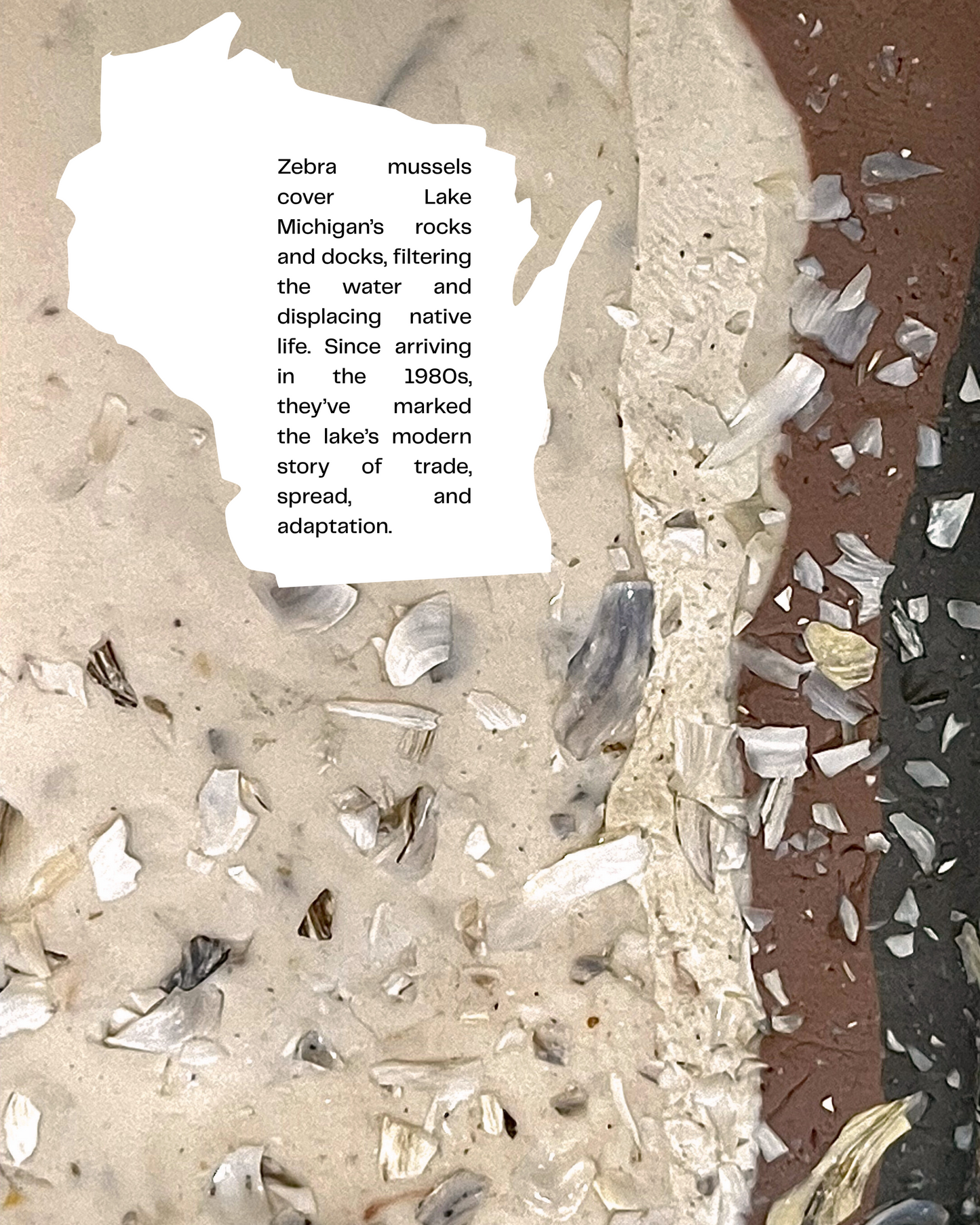 zebra mussel infused clay