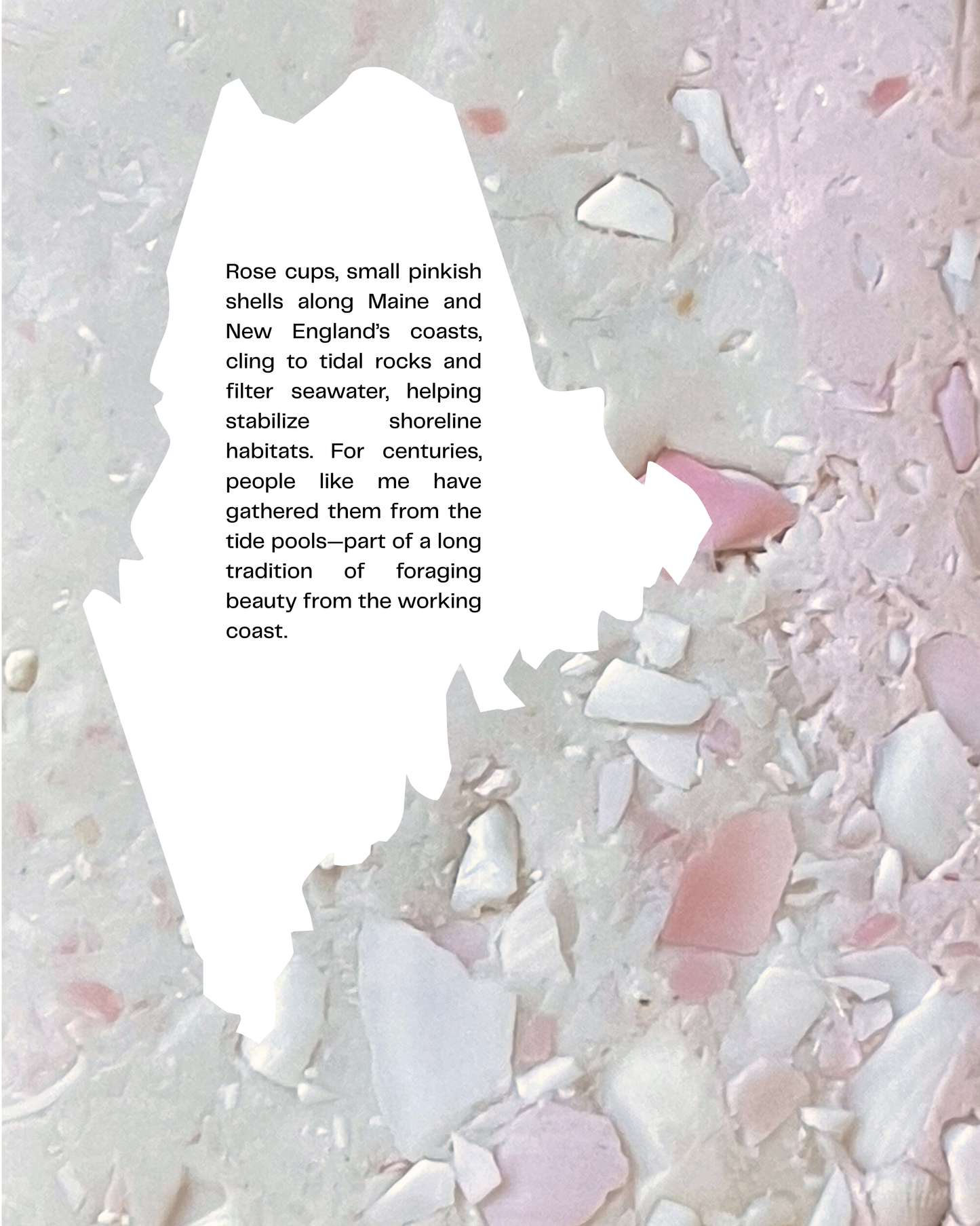 rose cup infused clay