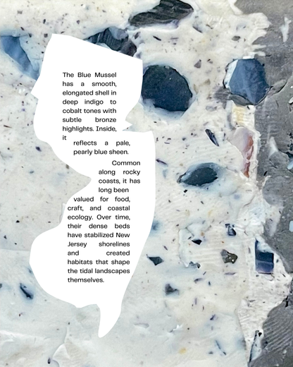 blue mussel infused clay