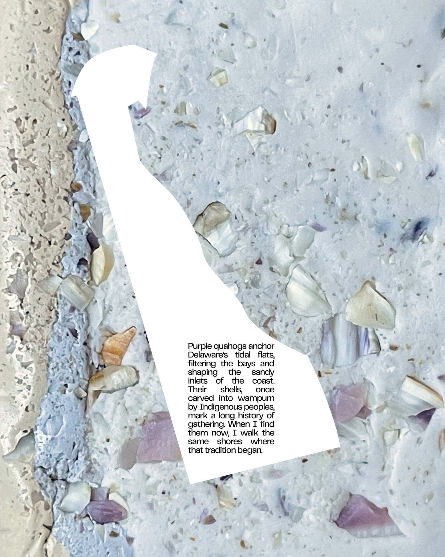 purple quahog infused clay