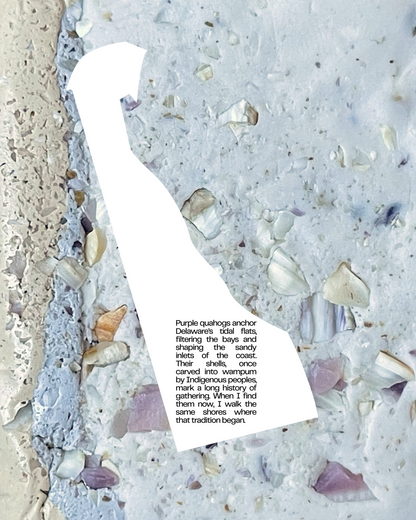 purple quahog infused clay