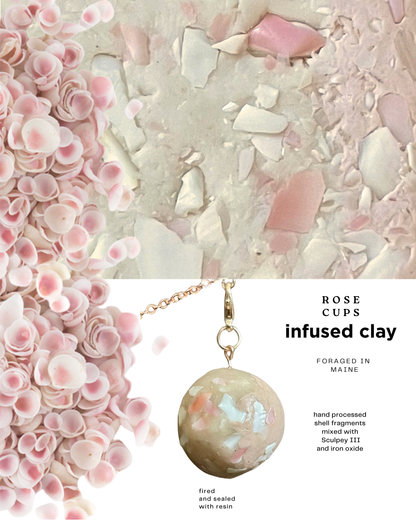 shell infused clay 2025 6-pack