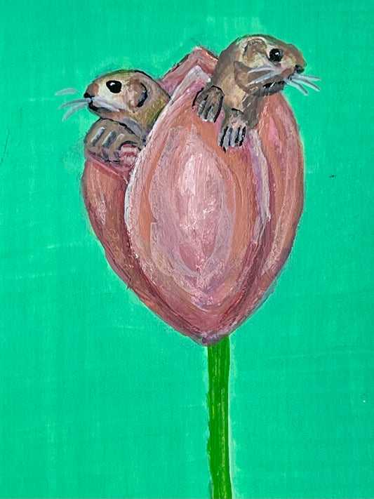 Habitat ACEO collection