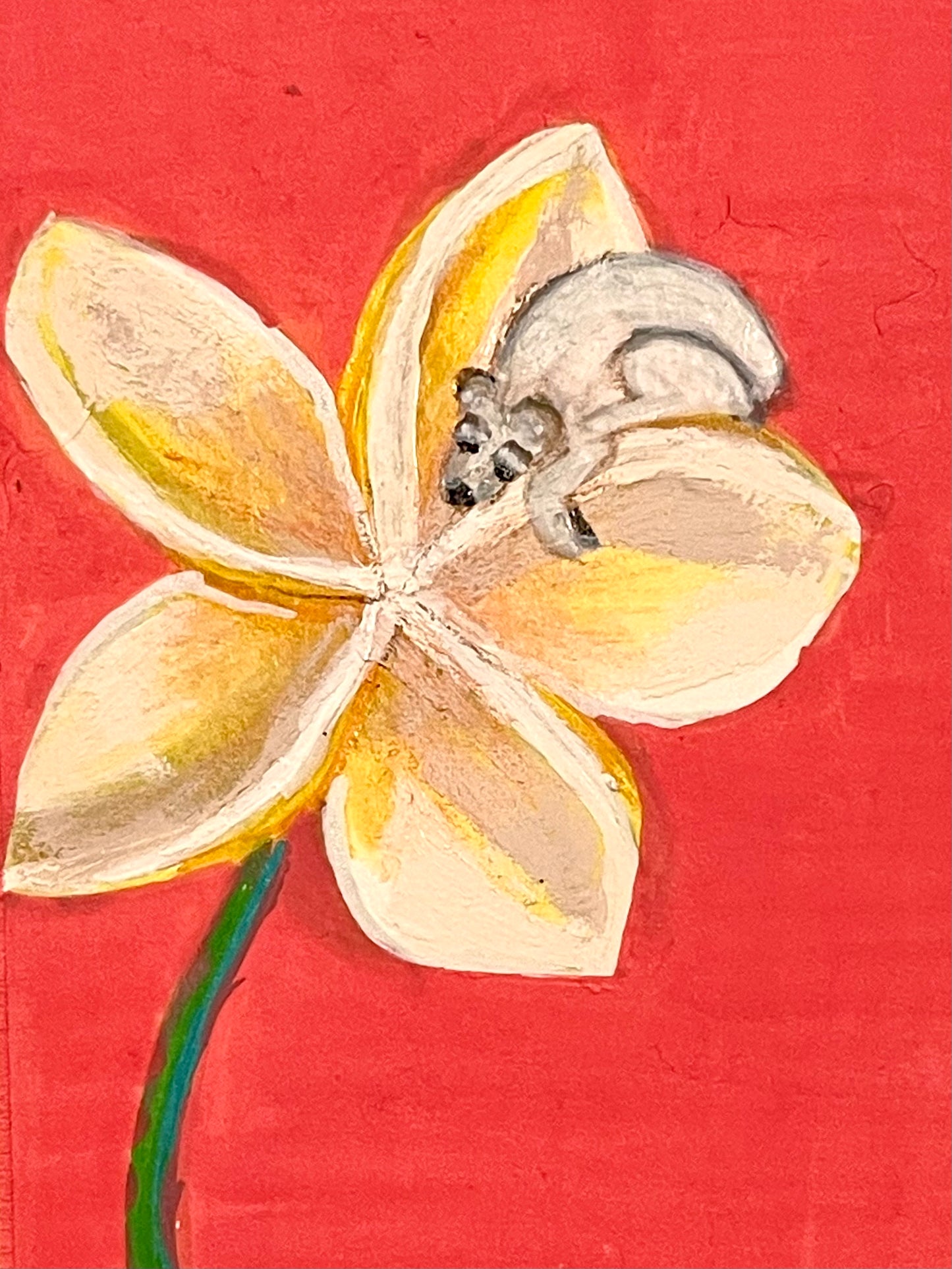 Habitat ACEO collection