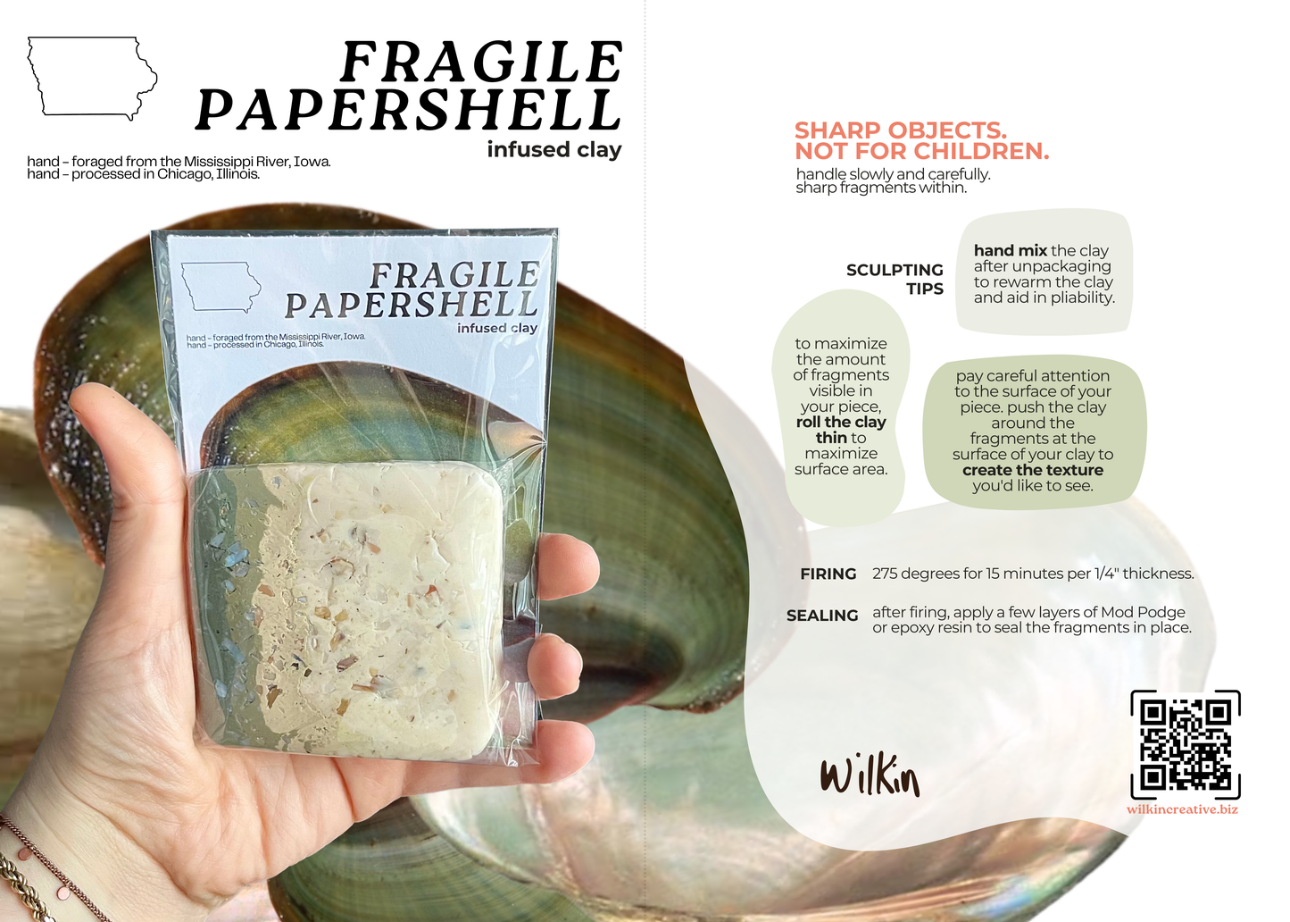 Great Lakes Freshwater Fossil & Shell Clay Set