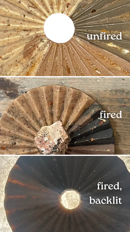 petrified wood infused clay