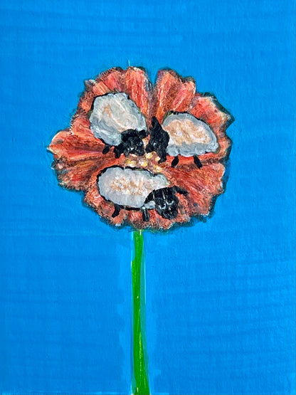 Habitat ACEO collection