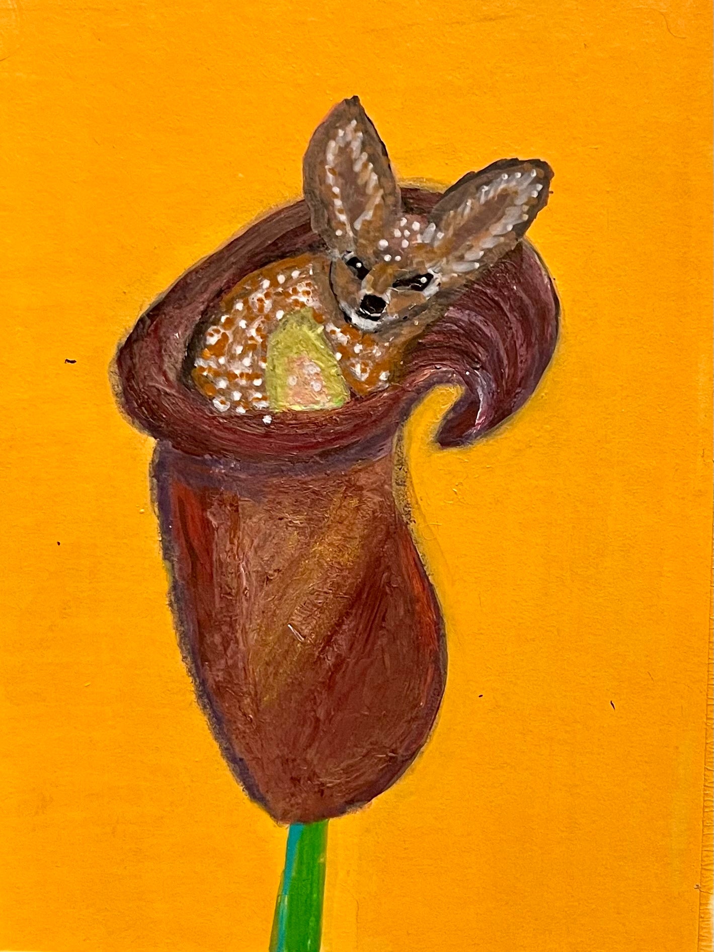 Habitat ACEO collection