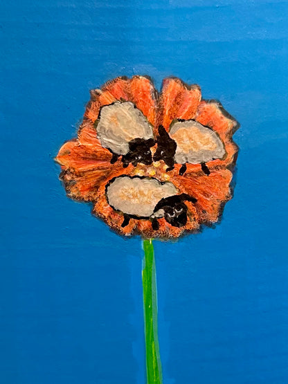 Habitat ACEO collection
