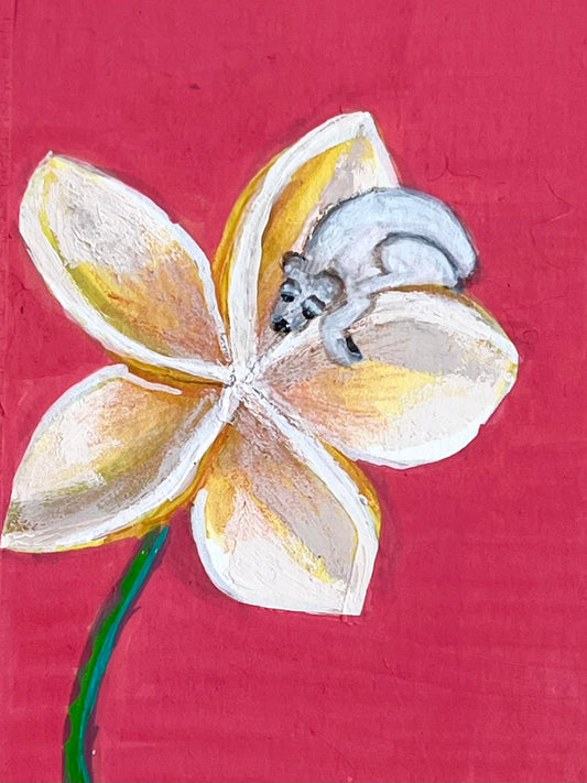 Habitat ACEO collection