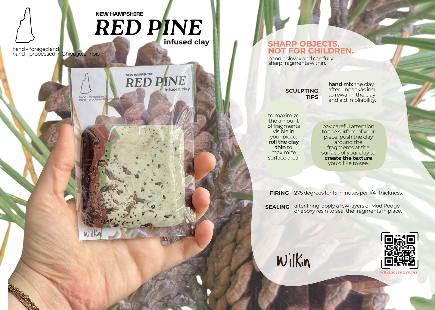 New England Foraged Forest and Shore Clay Set