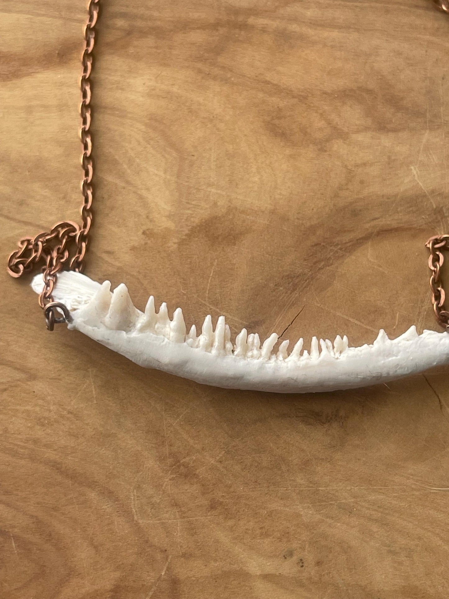 coho salmon maxilla jaw bone pendant copper necklace (copper 1)