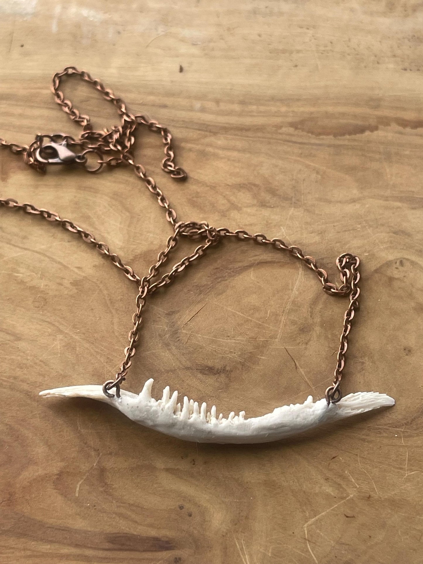 coho salmon maxilla jaw bone pendant copper necklace (copper 2)