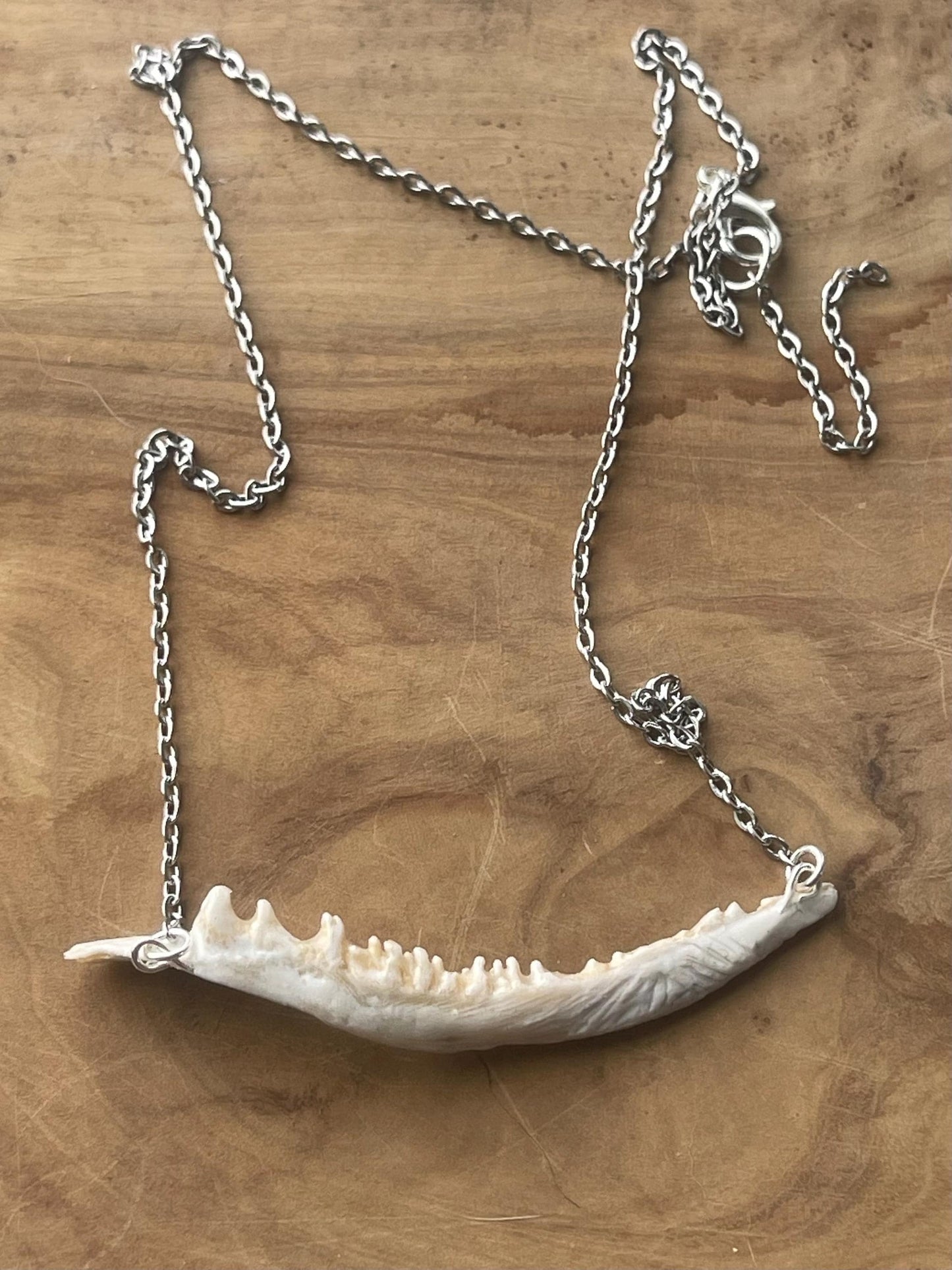 coho salmon maxilla jaw bone pendant silver necklace (silver 1)