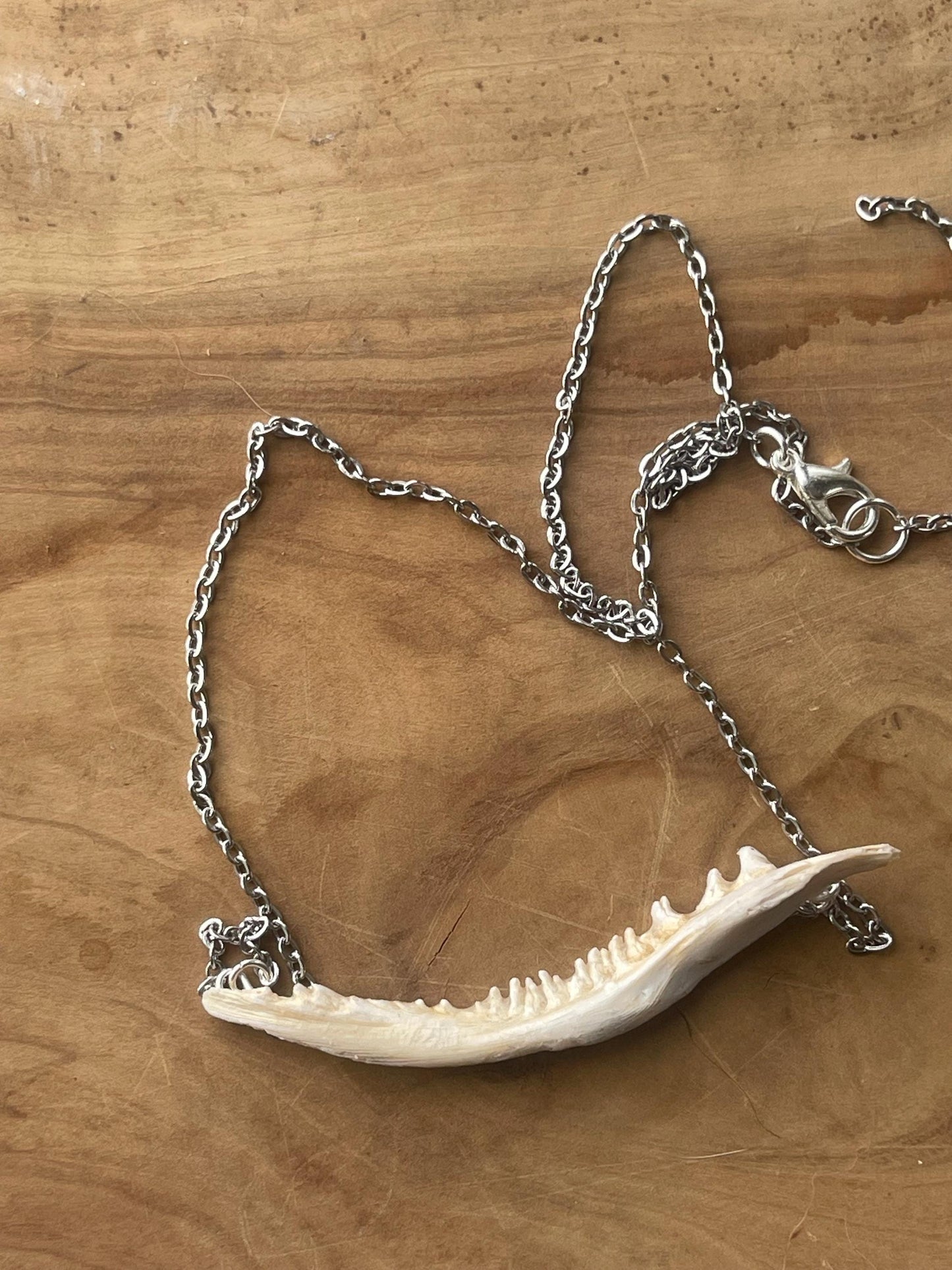 coho salmon maxilla jaw bone pendant silver necklace (silver 1)