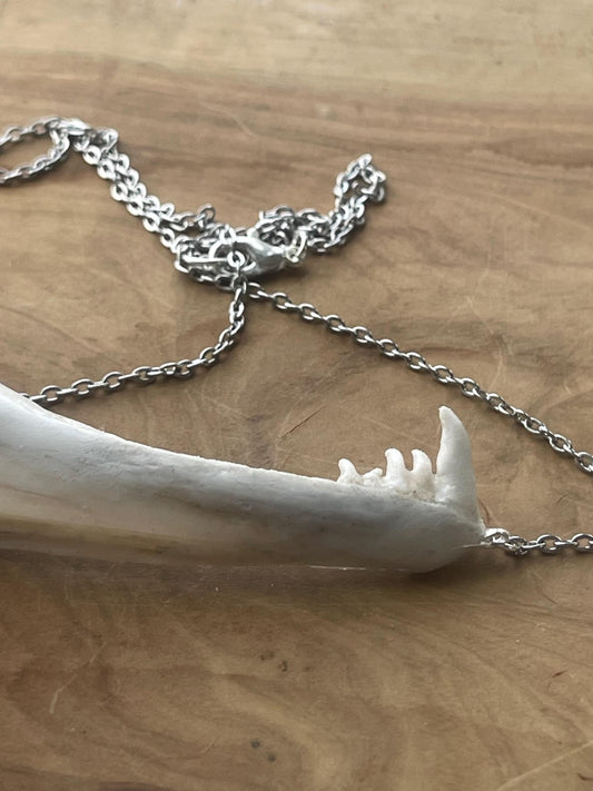 coho salmon dentary jaw bone pendant silver necklace (silver 3)
