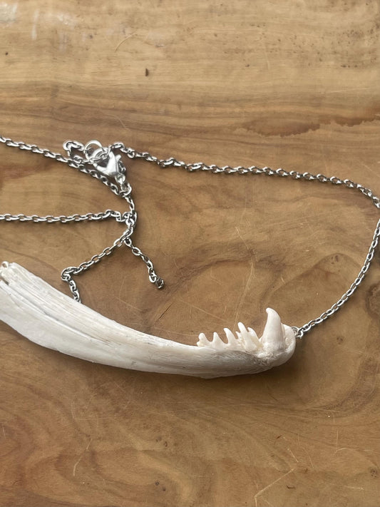 coho salmon dentary jaw bone pendant silver necklace (silver 2)