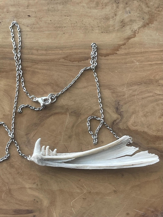 coho salmon dentary jaw bone pendant silver necklace (silver 3)