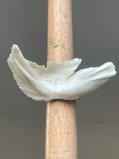 chinook salmon cleithrum bone ring (gold 2)