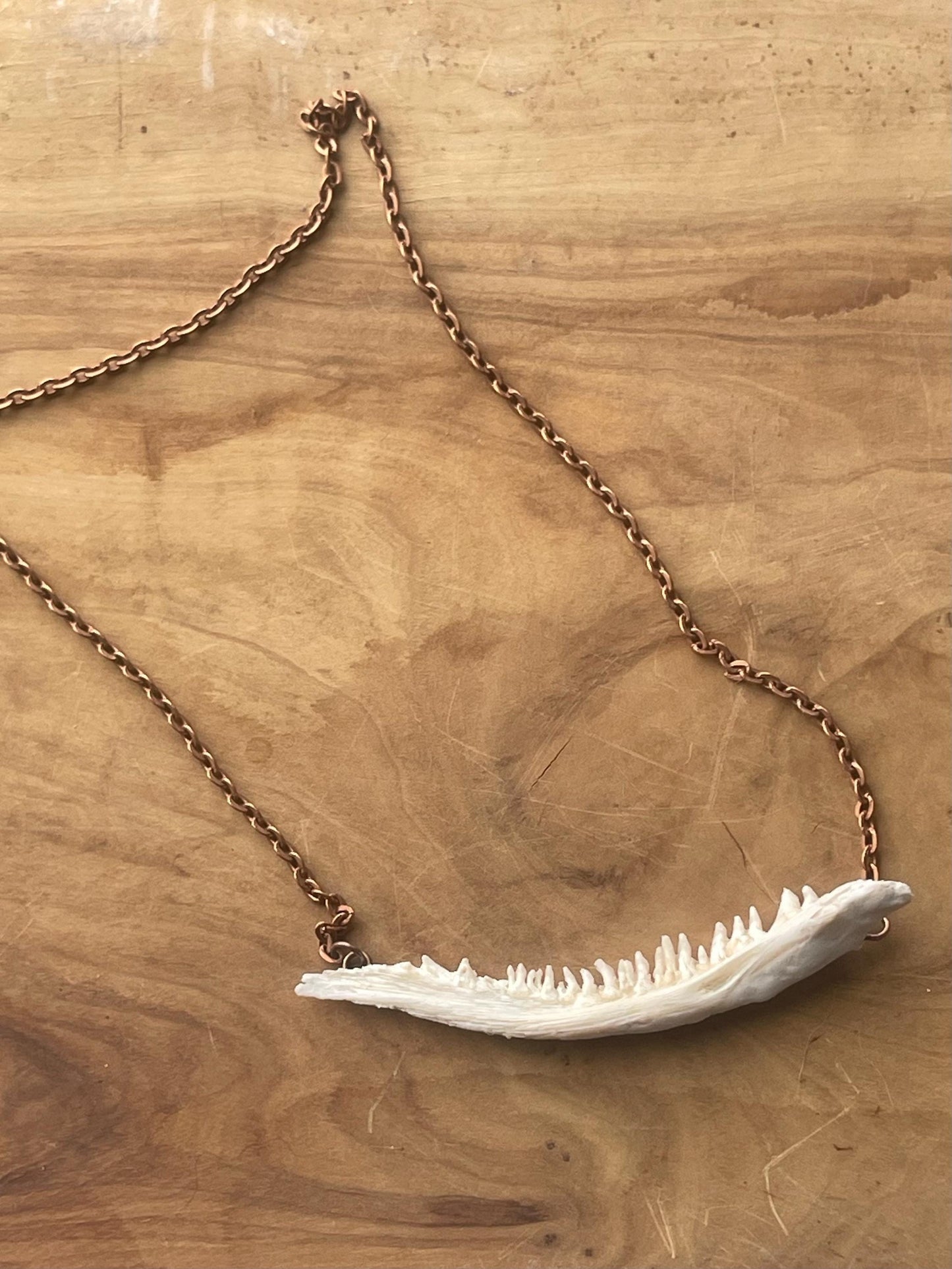 coho salmon maxilla jaw bone pendant copper necklace (copper 1)