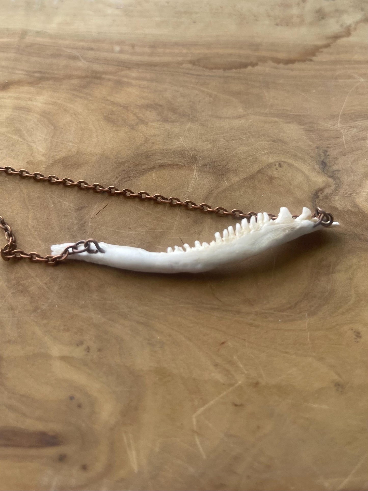 coho salmon maxilla jaw bone pendant copper necklace (copper 3)