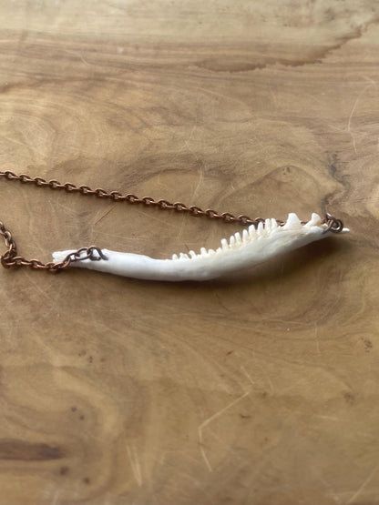 coho salmon maxilla jaw bone pendant copper necklace (copper 3)