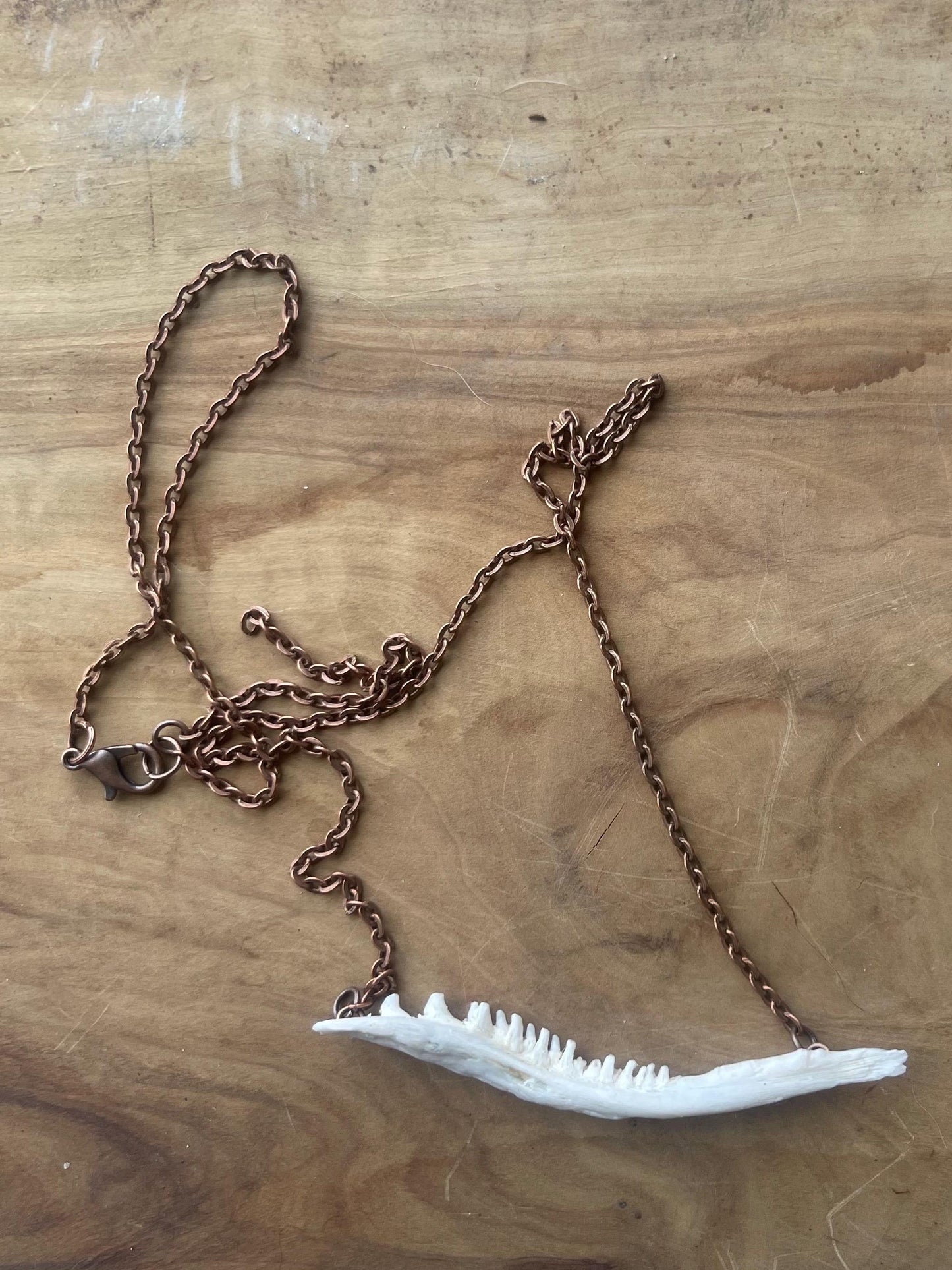 coho salmon maxilla jaw bone pendant copper necklace (copper 3)