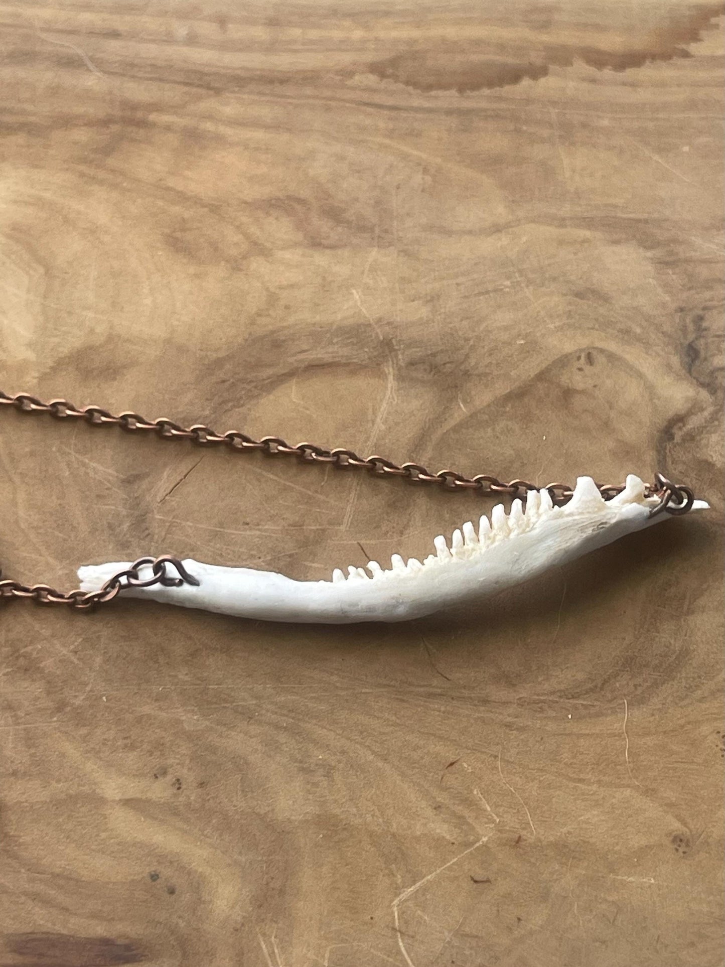 coho salmon maxilla jaw bone pendant copper necklace (copper 3)