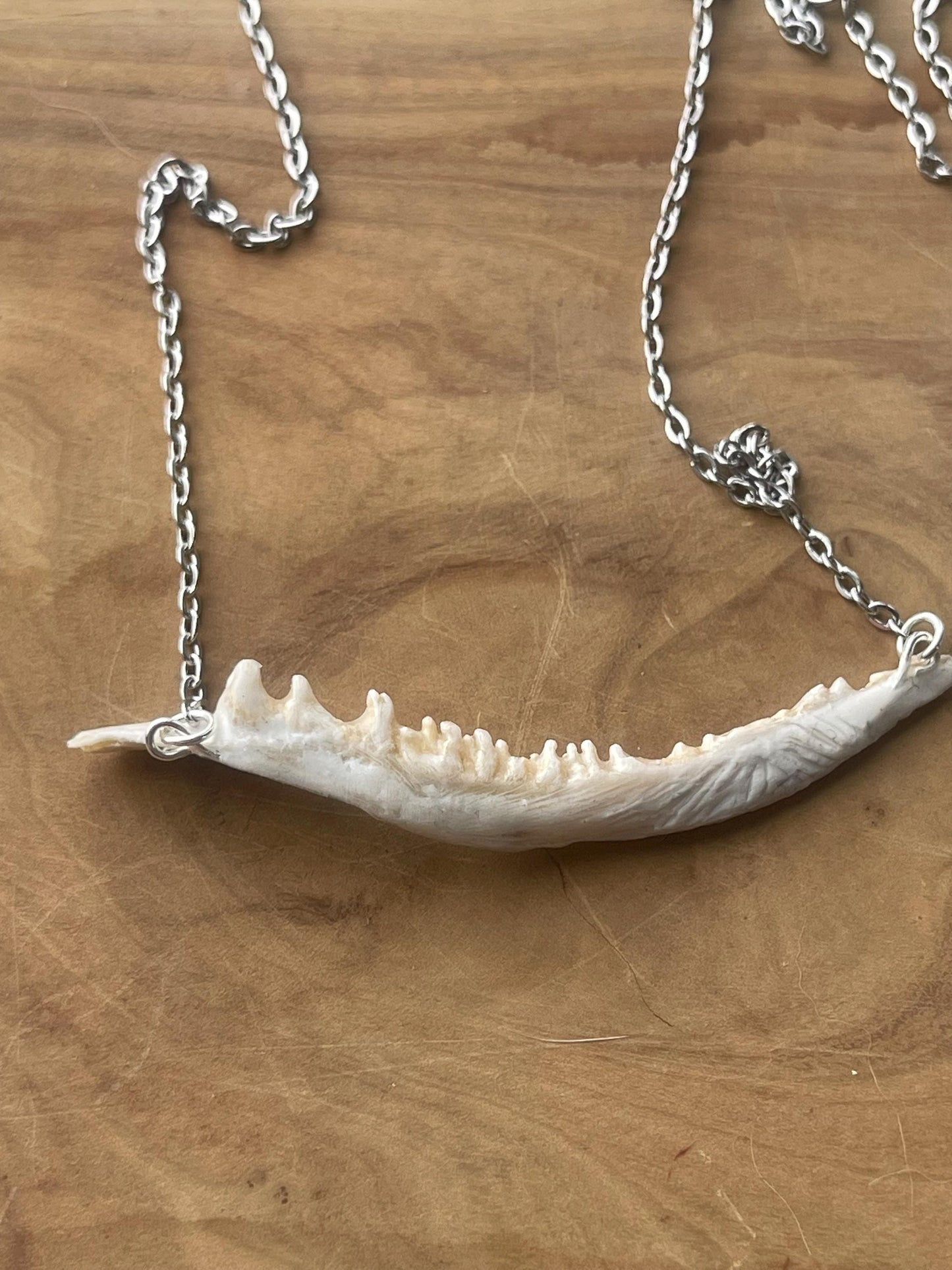 coho salmon maxilla jaw bone pendant silver necklace (silver 1)