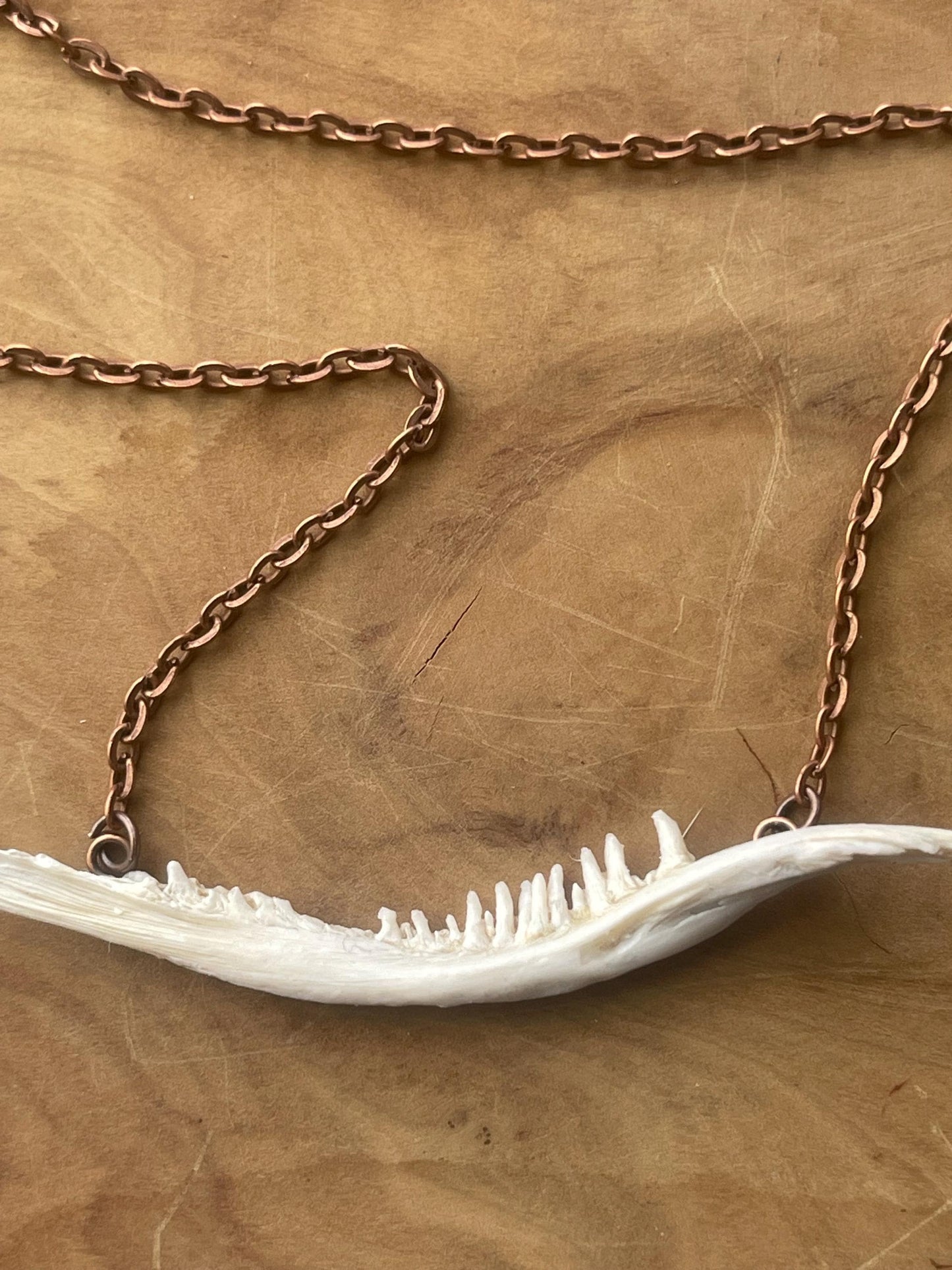 coho salmon maxilla jaw bone pendant copper necklace (copper 2)