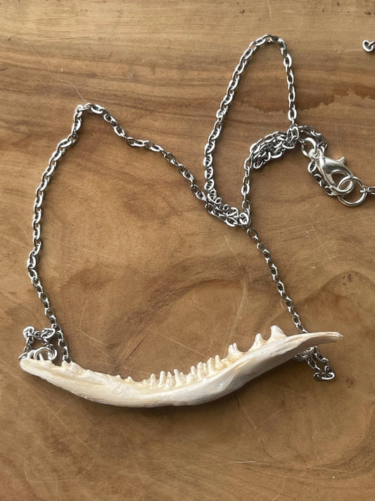 coho salmon maxilla jaw bone pendant silver necklace (silver 1)