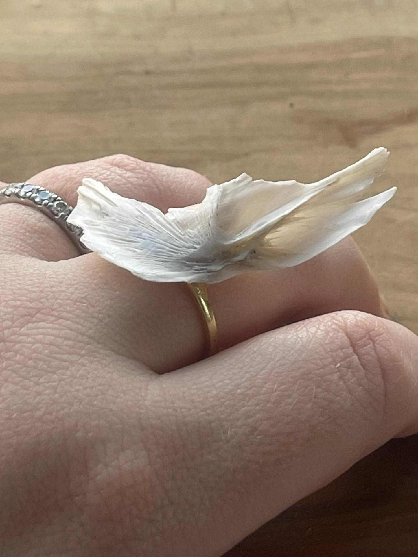 chinook salmon cleithrum bone ring (gold 3)